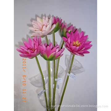 Waterlily Flower Stem